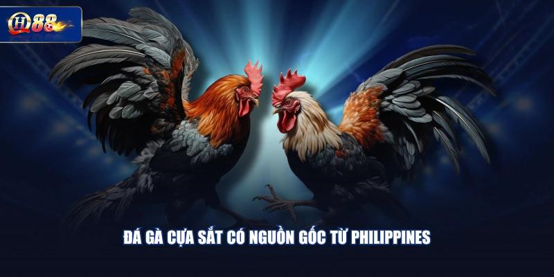 Đá gà cựa sắt có nguồn gốc từ Philippines