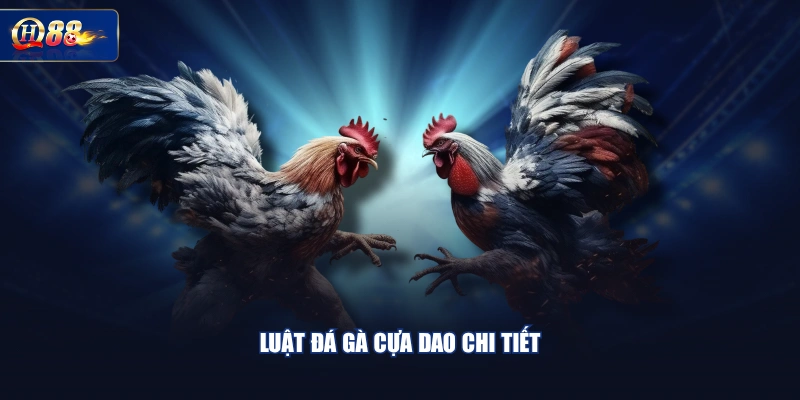 Luật đá gà cựa dao chi tiết